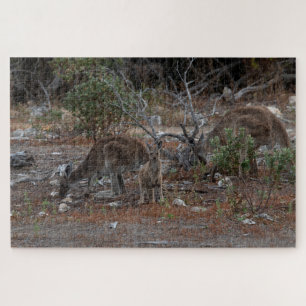 Quebra-cabeça Família Kangaroo Austrália: Mãe, Pai, Bebê Joey
