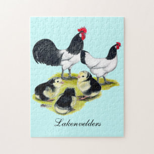 Quebra-cabeça Família Lakenvelder Chicken
