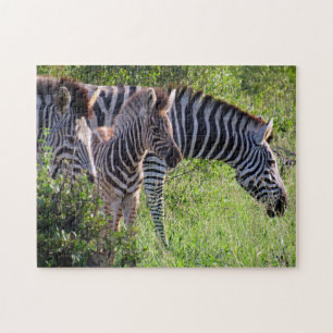 Quebra-cabeça família zebra