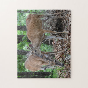 Quebra-cabeça Fanfarrões novos dos cervos de Whitetail no velud