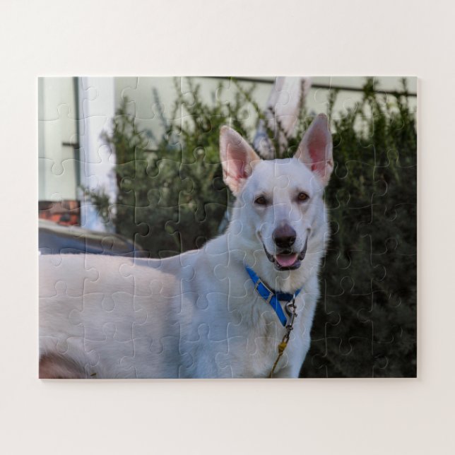 Quebra-cabeça Fantasma (Horizontal)