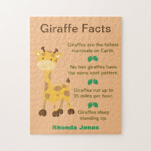 Quebra-cabeça Fatos Divertidos da Girafa