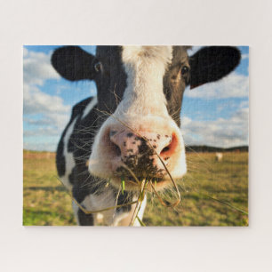 Quebra-cabeça Fazendas Mastigação De Vaca Holstein