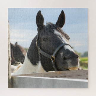 Quebra-cabeça Fechar cerca de mascar cavalos