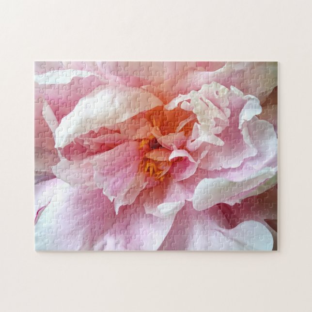 Quebra-cabeça Fecho de Peões Rosa Pálidos (Horizontal)