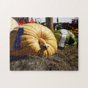 Quebra-cabeça Feira do País Giante Pumpkin Blue Ribbon