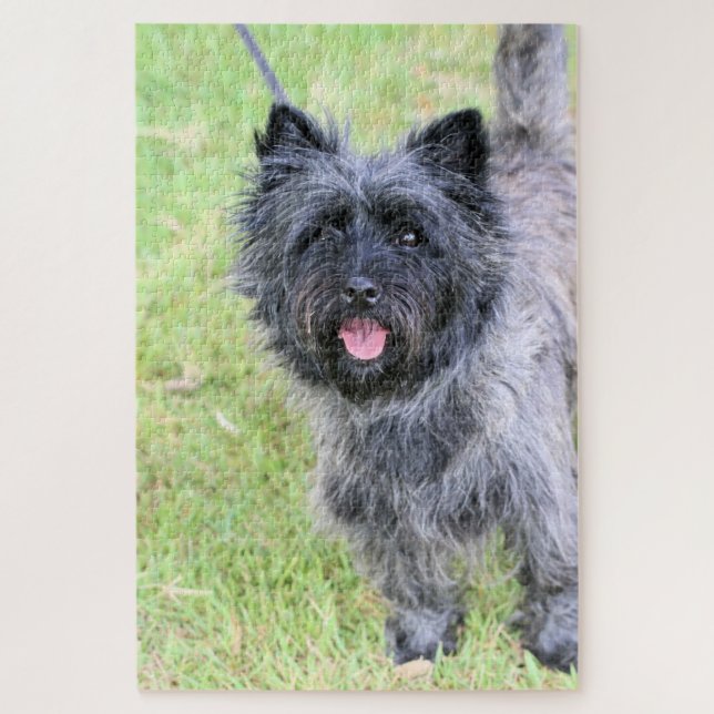 Quebra-cabeça Feliz (Vertical)