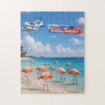 Feliz 250º Aniversário América Flamingos na Praia
