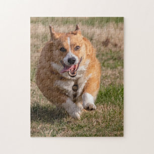 Quebra-cabeça Feliz Rosto Correndo Corgi