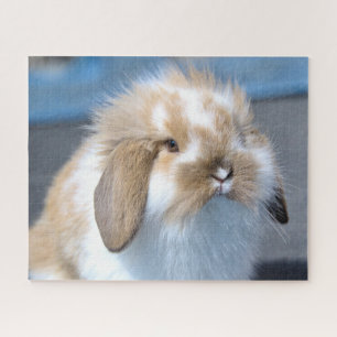 Quebra-cabeça Felpudo Holland Mini Dwarf Lop Bunny Rabbit