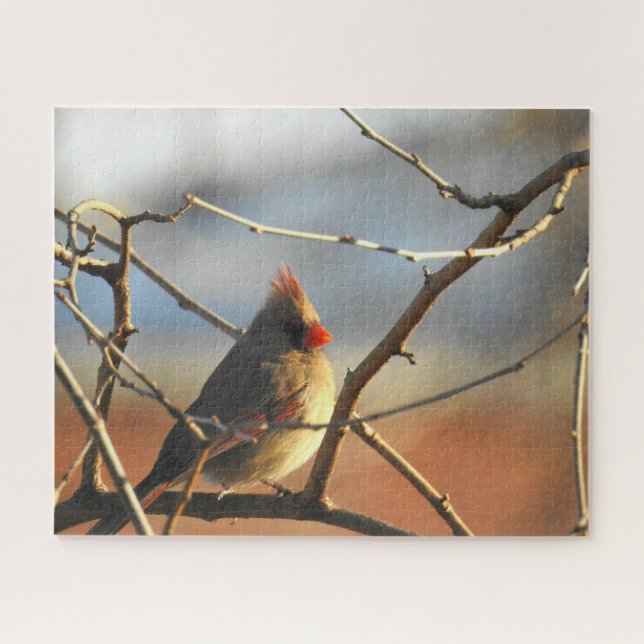 Quebra-cabeça Female Cardinal Perch (Horizontal)