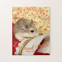 Feriados Felizes de Hamster