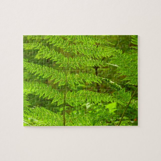 Quebra-cabeça Fern Fronds III Natureza Verde Botânica (Horizontal)