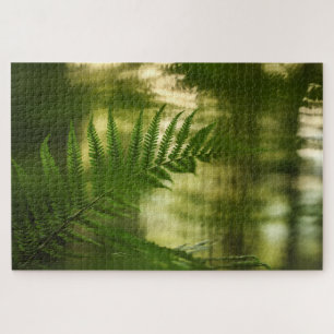 Quebra-cabeça Fern Nature Photo