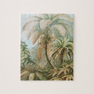 Quebra-cabeça Ferns, Filicinae Laubfarne por Ernst Haeckel