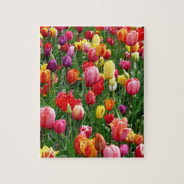 Quebra-cabeça Festival de Tulip (Vertical)