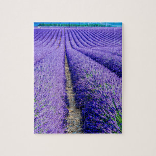 Quebra-cabeça Fileiras de Lavanda, Provença, França
