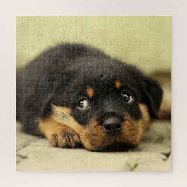 Quebra-cabeça Filhote Adorável de Rottweiler (Vertical)
