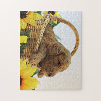 Quebra-cabeça Filhote de cachorro 11X14 de Goldendoodle (252