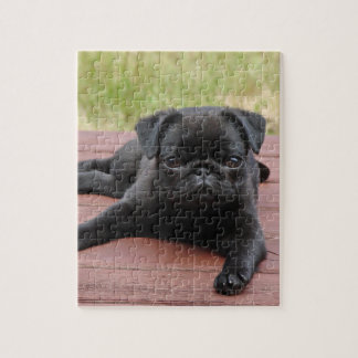 QUEBRA-CABEÇA FILHOTE DE CACHORRO ALERTA DO PUG