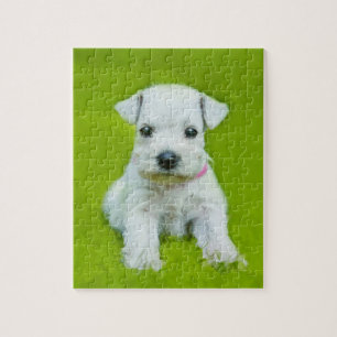 Quebra-cabeça Filhote de cachorro branco do Schnauzer