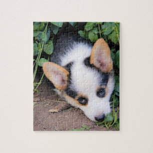 Quebra-cabeça Filhote de cachorro do Corgi de Galês do Pembroke