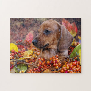 Quebra-cabeça Filhote de cachorro do Dachshund do outono