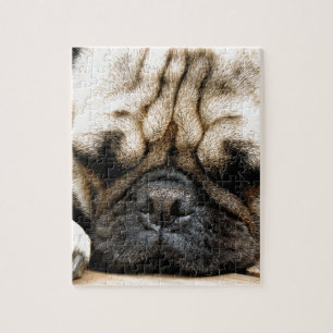 Quebra-cabeça Filhote de cachorro do Pug