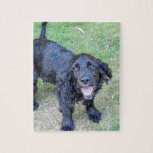 Quebra-cabeça Filhote de cachorro preto bonito