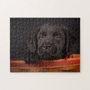Quebra-cabeça Filhote de cachorro preto de labrador retriever em