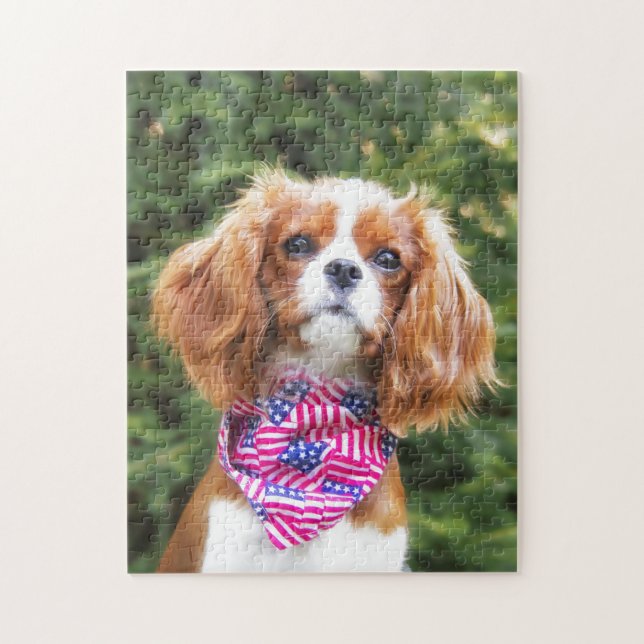 Quebra-cabeça Filhote de Cavalier King Charles Spaniel com bande (Vertical)