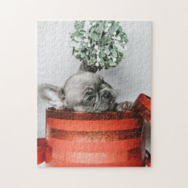 Quebra-cabeça Filhote de cinza giro numa caixa vermelha