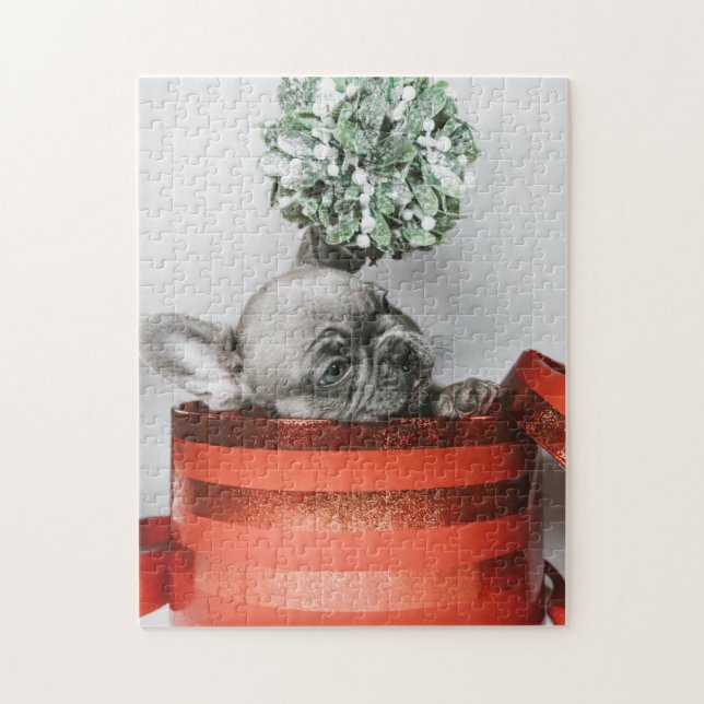 Quebra-cabeça Filhote de cinza giro numa caixa vermelha (Vertical)