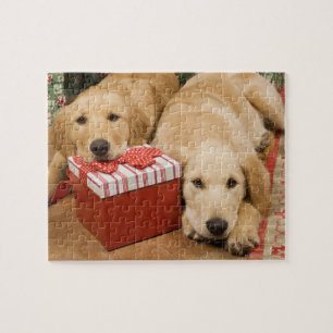 Quebra-cabeça Filhotes de cachorro do golden retriever com
