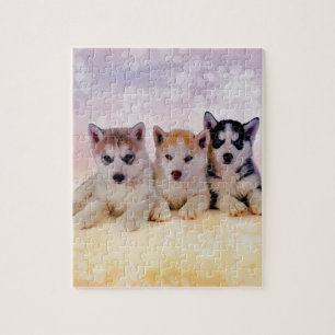 Quebra-cabeça Filhotes de cachorro do rouco Siberian