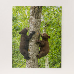 Quebra-cabeça Filhotes de Urso Negro Subindo Árvore