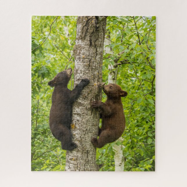 Quebra-cabeça Filhotes de Urso Negro Subindo Árvore (Vertical)