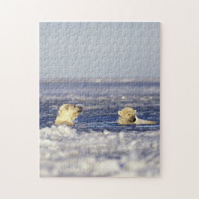 Quebra-cabeça Filhotes de urso polar brincando (Vertical)