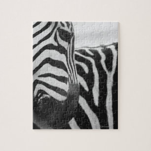 Quebra-cabeça Fim-acima da cara e do ombro da zebra