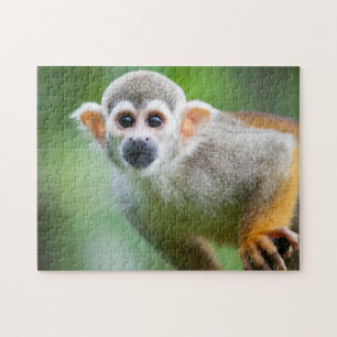 Quebra-cabeça Fim-acima de um macaco de esquilo comum