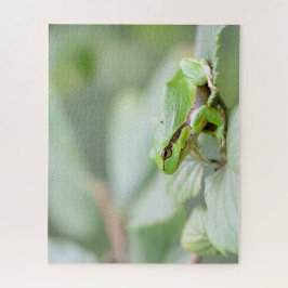 Quebra-cabeça Fim europeu verde do sapo de árvore acima