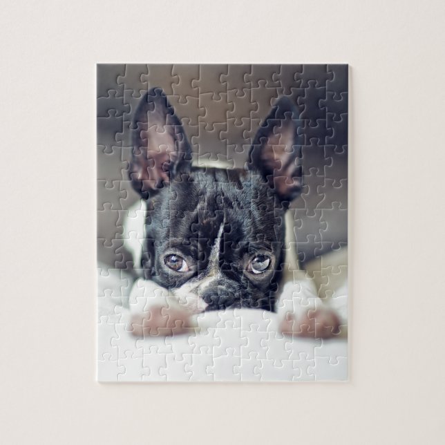 Quebra-cabeça Fina a Boston Terrier (Vertical)