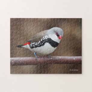 Quebra-cabeça Finalização impressionante de Firetail em Diamon