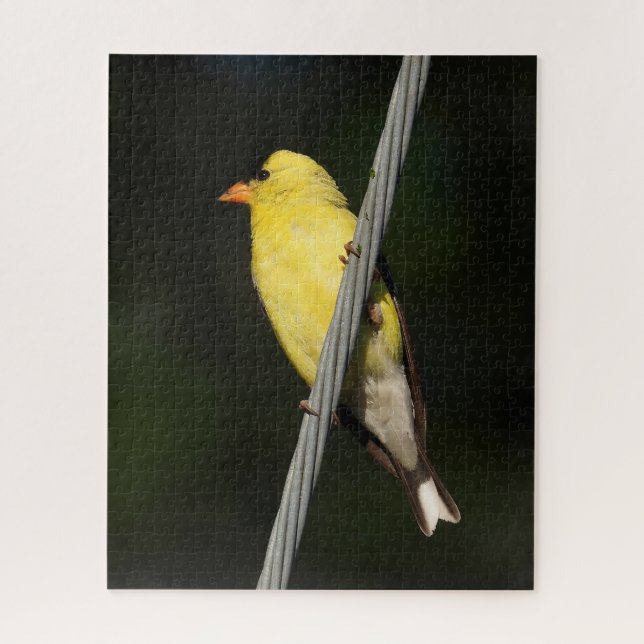 Quebra-cabeça Finch Dourado Americano - Fundo Verde Escuro (Vertical)