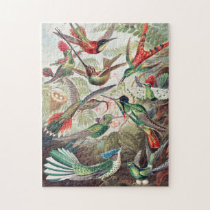 Quebra-cabeça Fine Art de Ernst Haeckel
