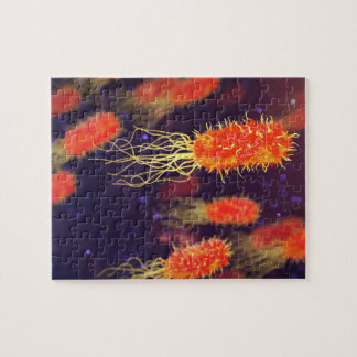 Quebra-cabeça Flagelos das bactérias