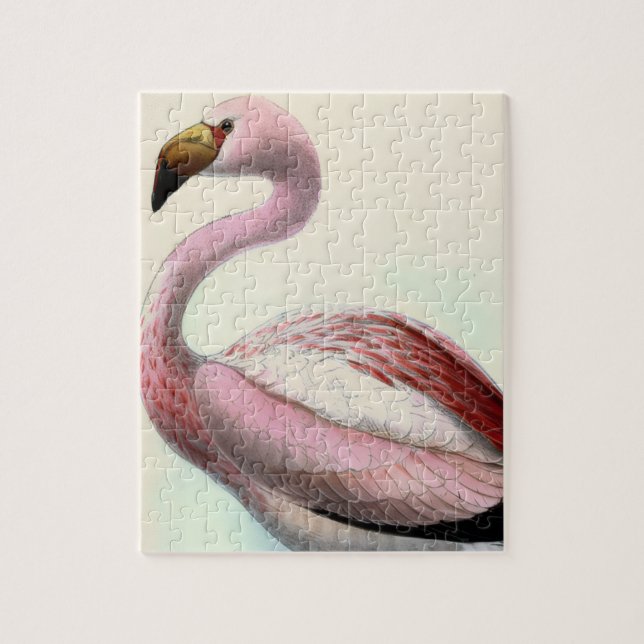 Quebra-cabeça Flamingo Antigo (Vertical)