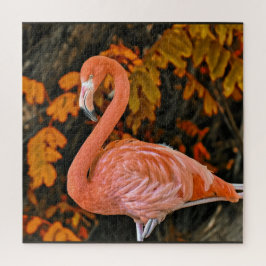 Quebra-cabeça Flamingo, de perto e lindo