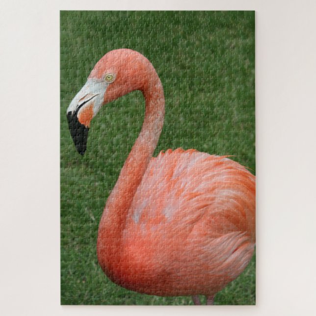 Quebra-cabeça Flamingo Rosa 1000 (Vertical)