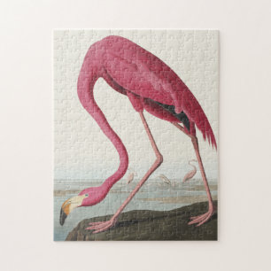 Quebra-cabeça Flamingo rosa das aves da América